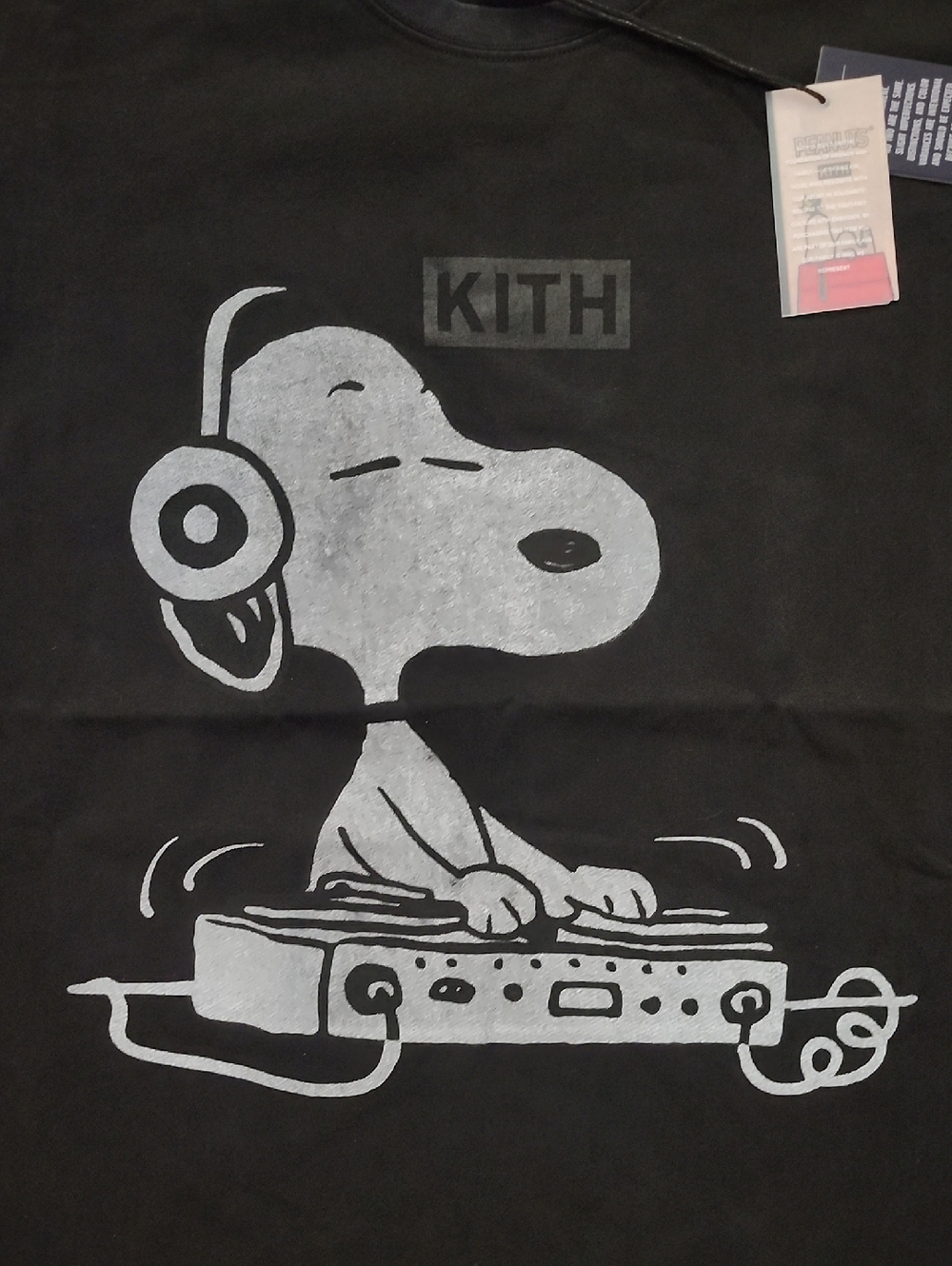 DJ SNOOPY IN THE HOUSE - Picture 2 of 9